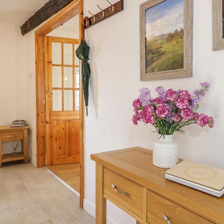 Cyffdy Cottage - Tegid バラ エクステリア 写真