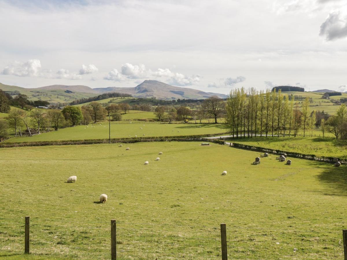 Cyffdy Cottage - Tegid バラ エクステリア 写真