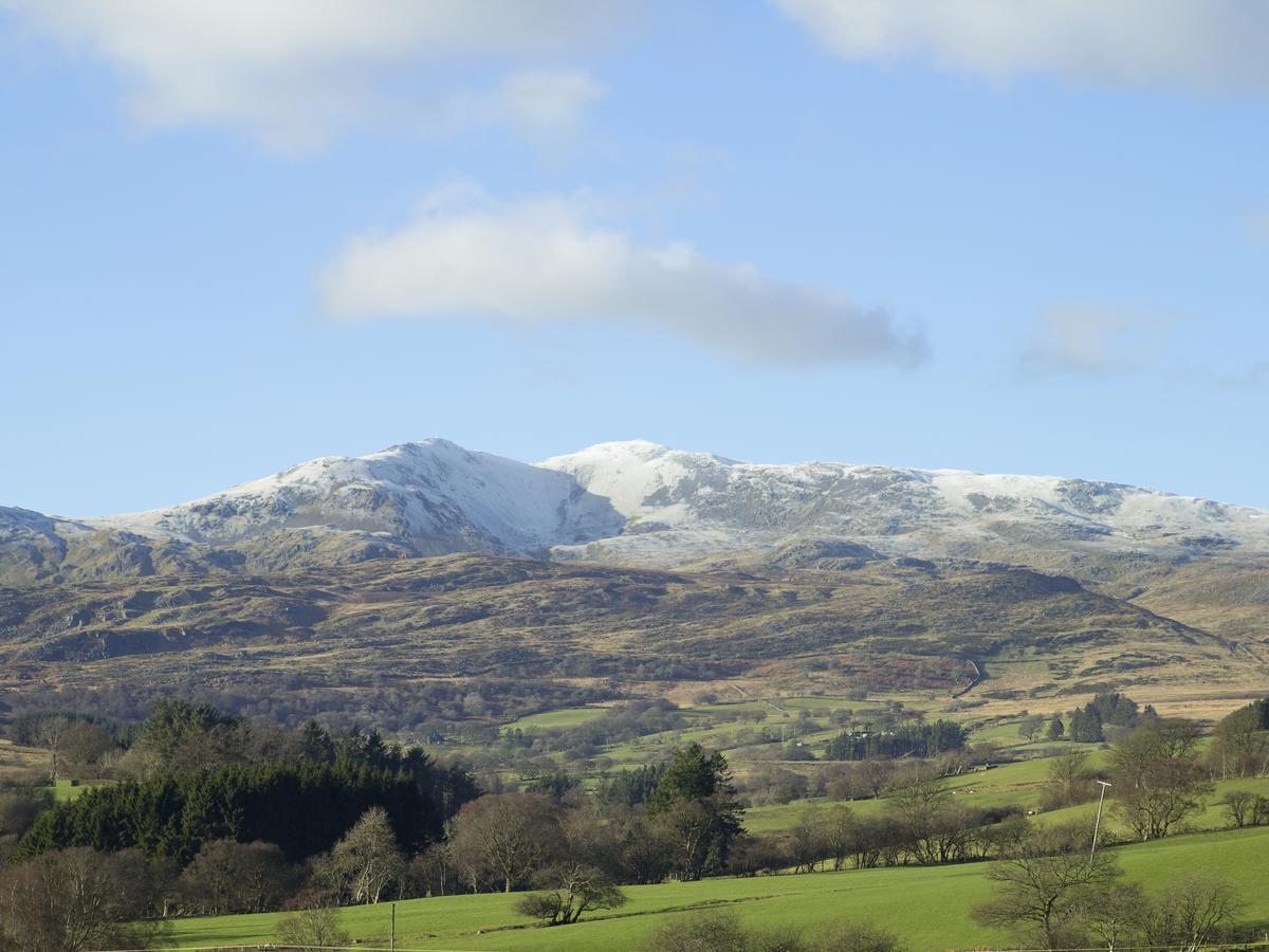 Cyffdy Cottage - Tegid バラ エクステリア 写真